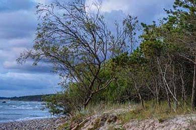 Aster选手个人荣誉榜添新星，aster新阵容