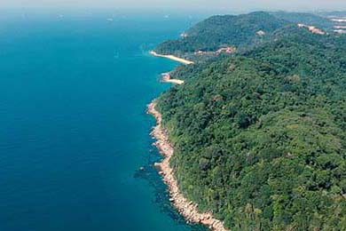 2025全球电竞冠军赛精彩落幕， chinese teams夺冠，全球电竞总决赛冠军